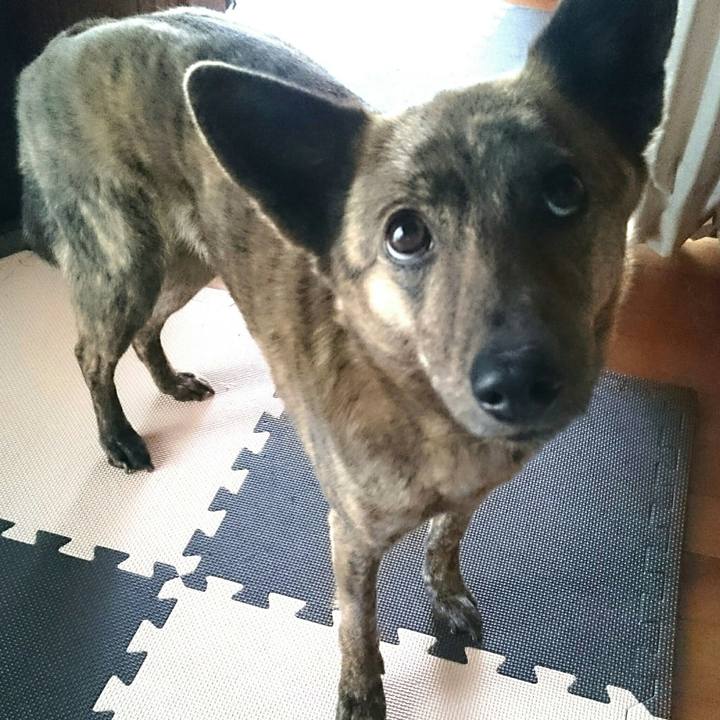 04e8740e fdb5 40dd b772 8a20c0105f2c