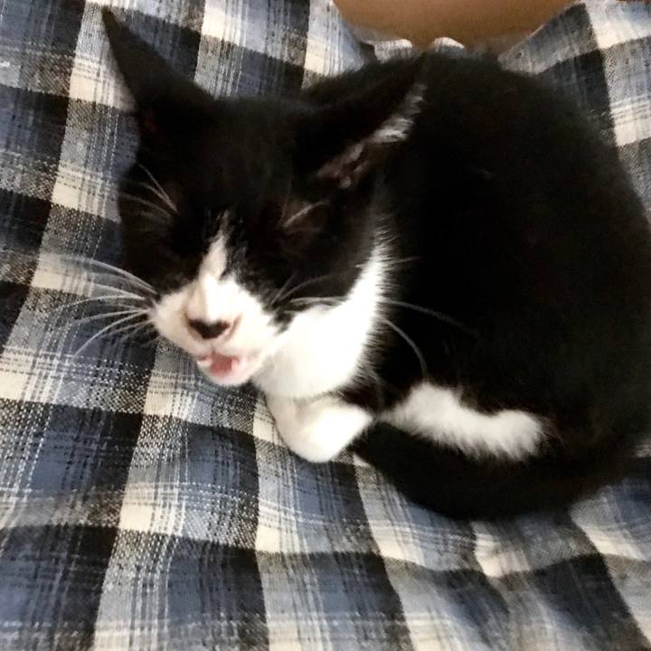 04e8b3bb dafb 4247 a641 a1c55582d26b