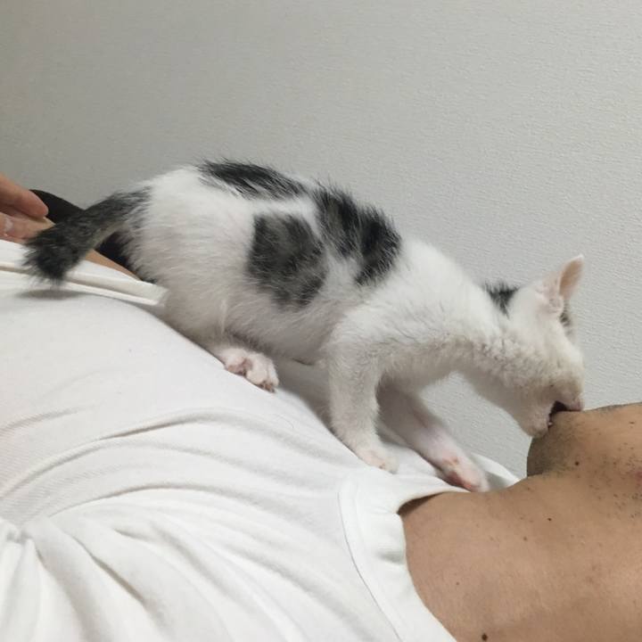 04e93953 54a2 4faf bcb1 e31fca755447