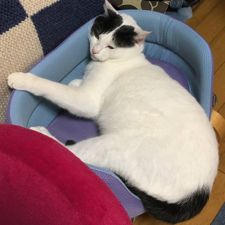 04ea0c8c ee44 48b5 ab14 69cbb8ee8d81