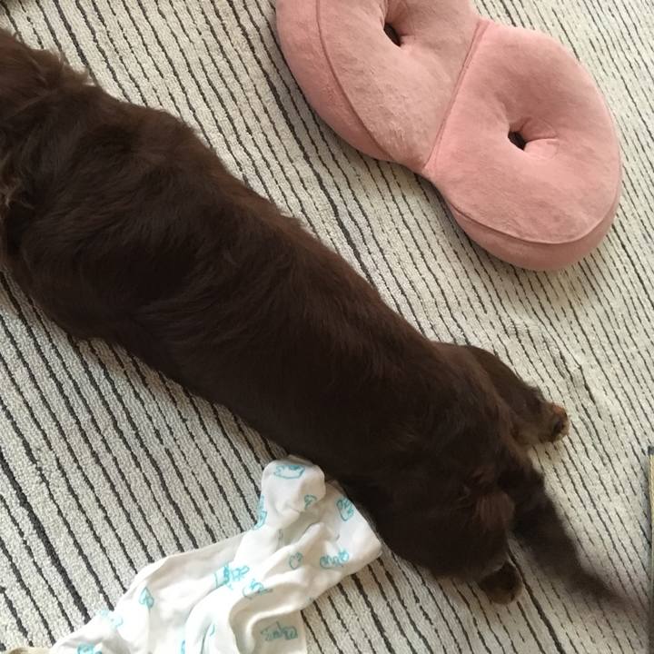 04ea2141 67ce 4eff a554 e80dcb559672