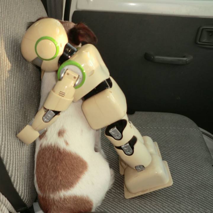 04ea2a3b aaf6 48e3 9f10 17f9489512c8