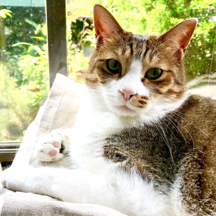 04ea7735 e851 48e8 93e8 b153f87a3021