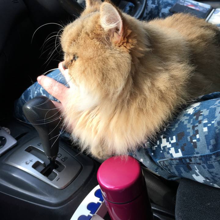 04eb1f70 9757 4148 acfe fc771b8f9faf