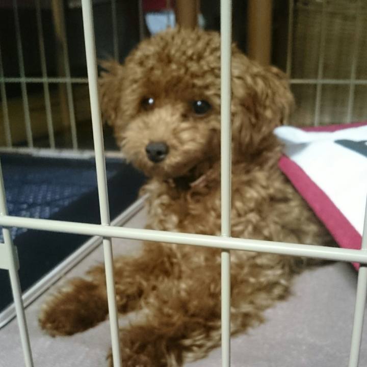 04eb5f4a 5c8d 46ea 9fa0 50bc35551ba7