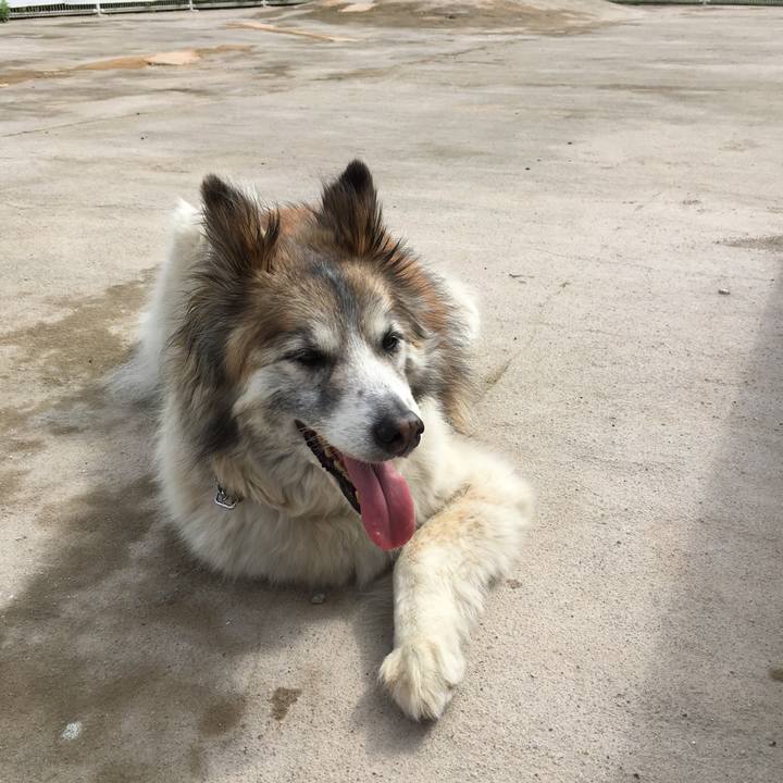 04ebea8f 618e 4ce4 9f92 1d21b1704f42