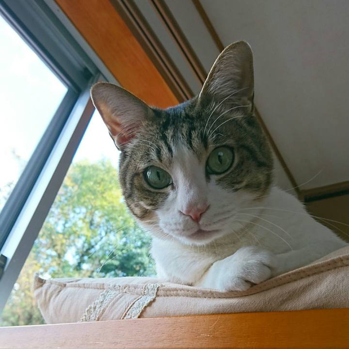 04ec12bf ea97 42f6 8816 948d2b250ee7