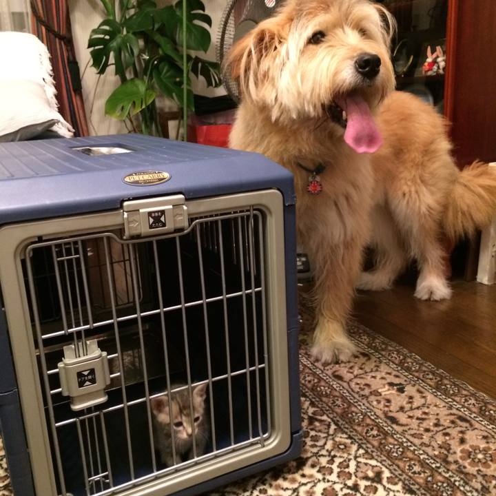 04ec2818 36df 4660 833e 190ae48a8100