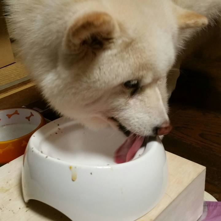 04ecfd4b 2ce1 48ae a336 4c1f72983a79