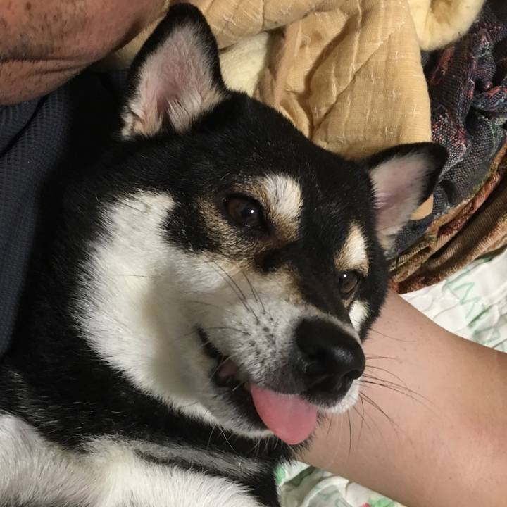 04ed0c72 646f 4e6f 8426 00a8c662f6e0