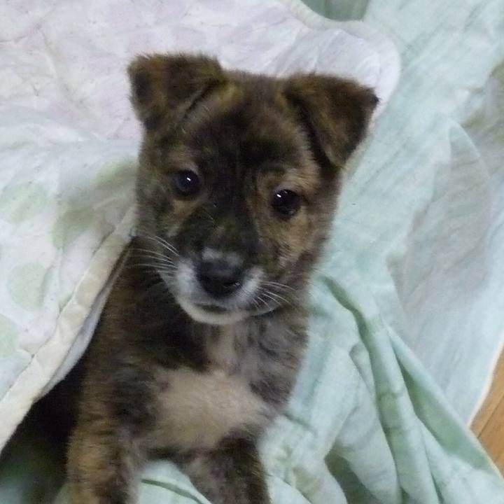 04ee3b41 cd49 4a84 a3d5 b54bac259b8f