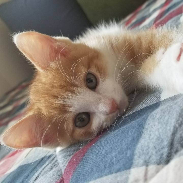 04eea7dd 3d7c 4e2f 95ab 45d838602c07