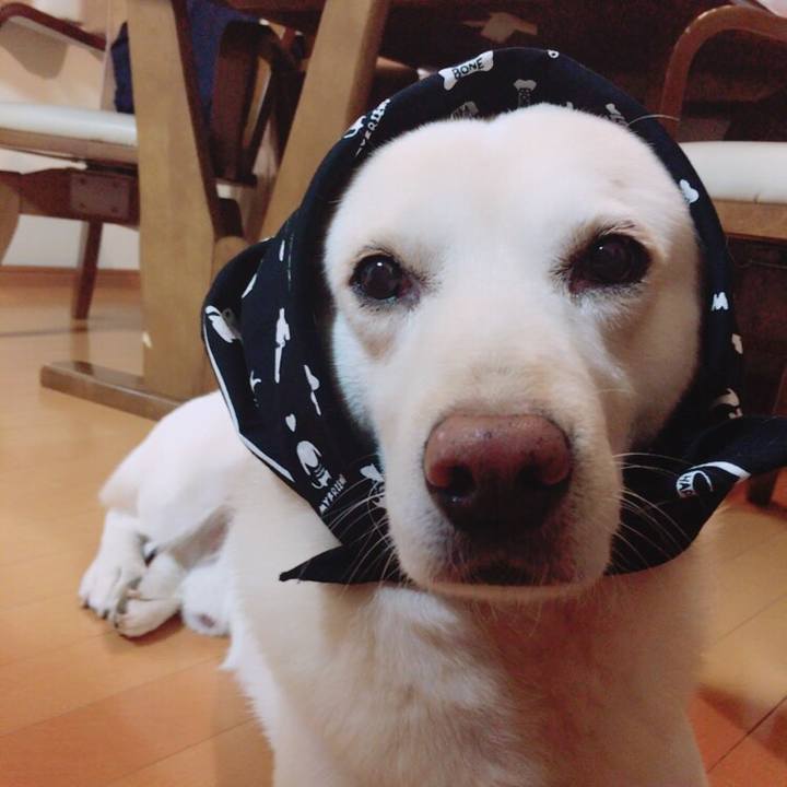 04eeb055 824f 44fc adf9 c2dfc872e6dd