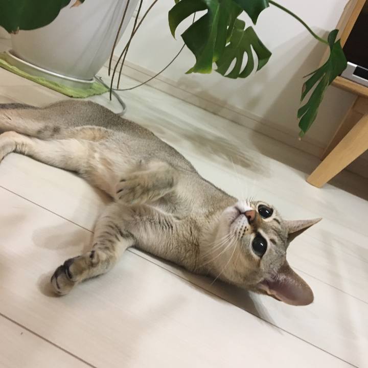 04eedbe3 388c 4b67 b8d8 6bb28cecc761