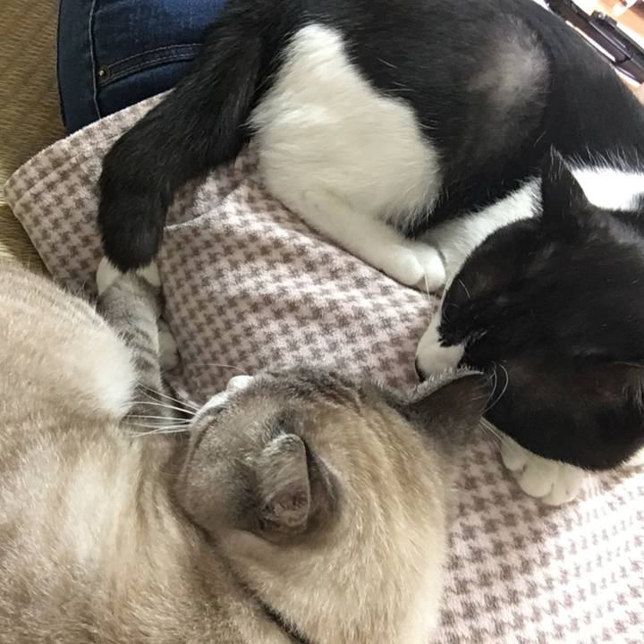 04f08d30 8864 4fa2 8a81 59b87b26a603