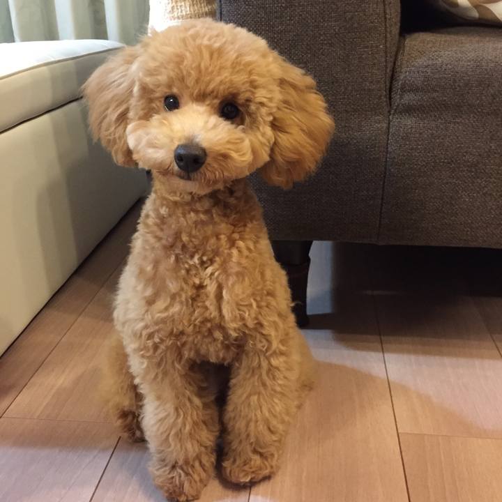 04f09057 6c5f 4aae a681 8cfa5e2b4d9b