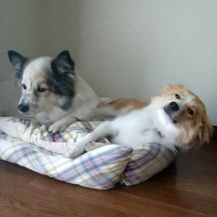 04f19715 ea51 4cc7 ba8b b6f652170259