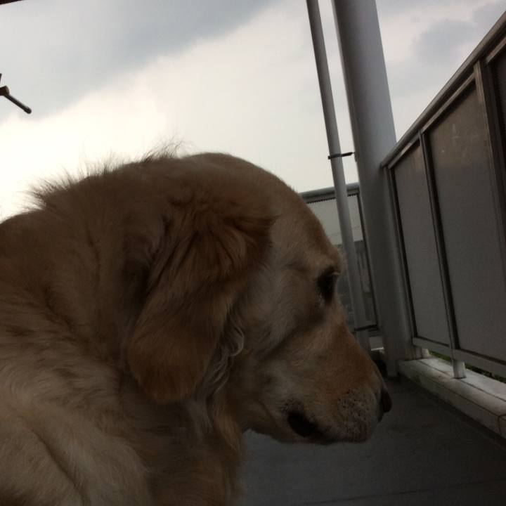 04f21084 e402 4f1f 95b1 a5f0e5b5bb62