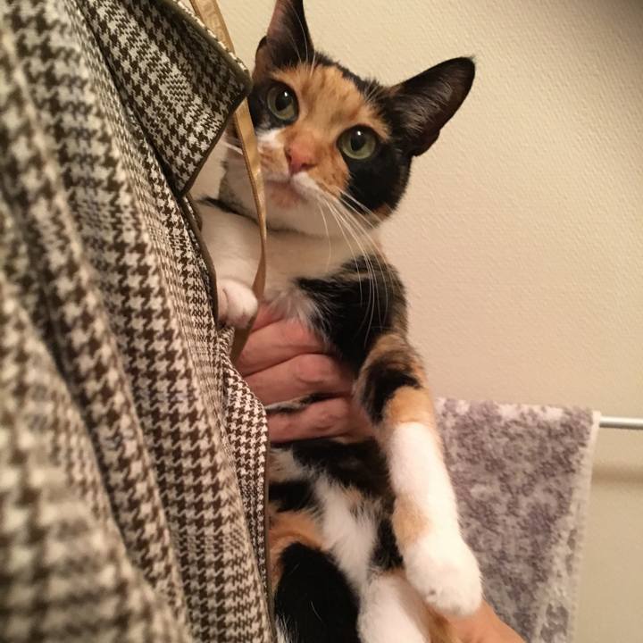 04f24add 5c9b 4d2f a632 d16e5ded9d40