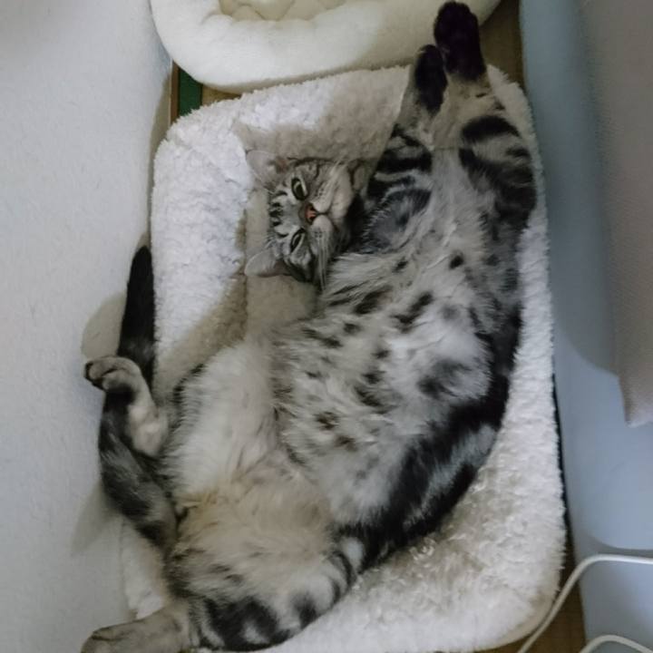 04f269fa 8e8a 4581 9ed1 873af44ab580