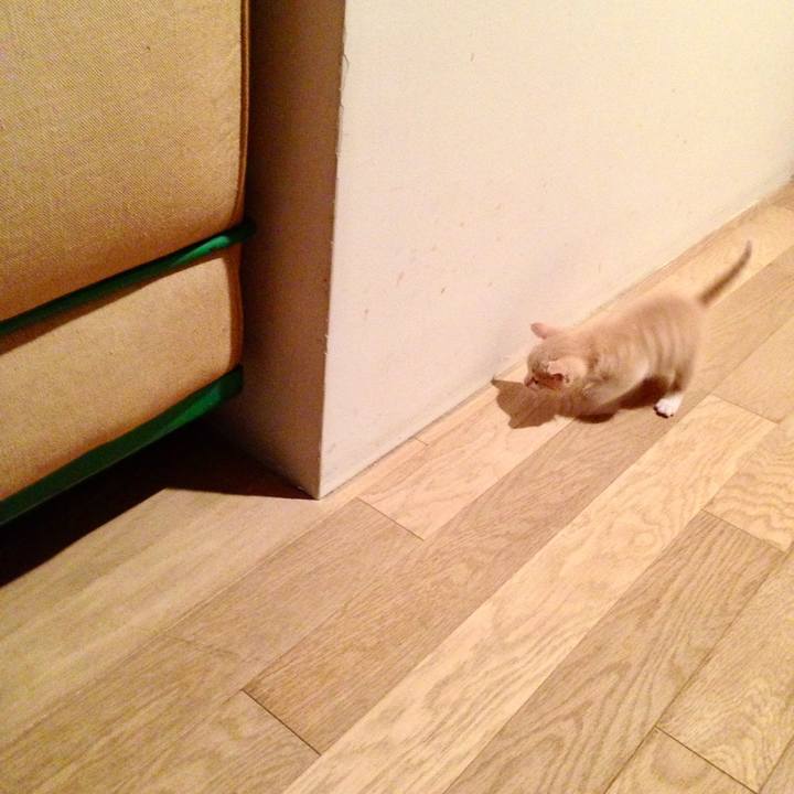 04f318fa 93a4 49b5 88be aede9826ae9e