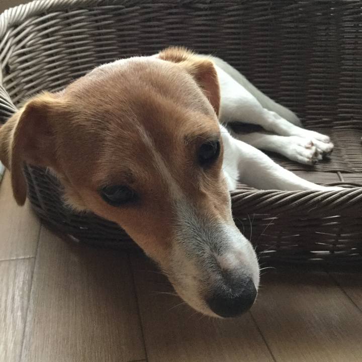 04f31eac b08d 4564 9bbe c726e1fe9146