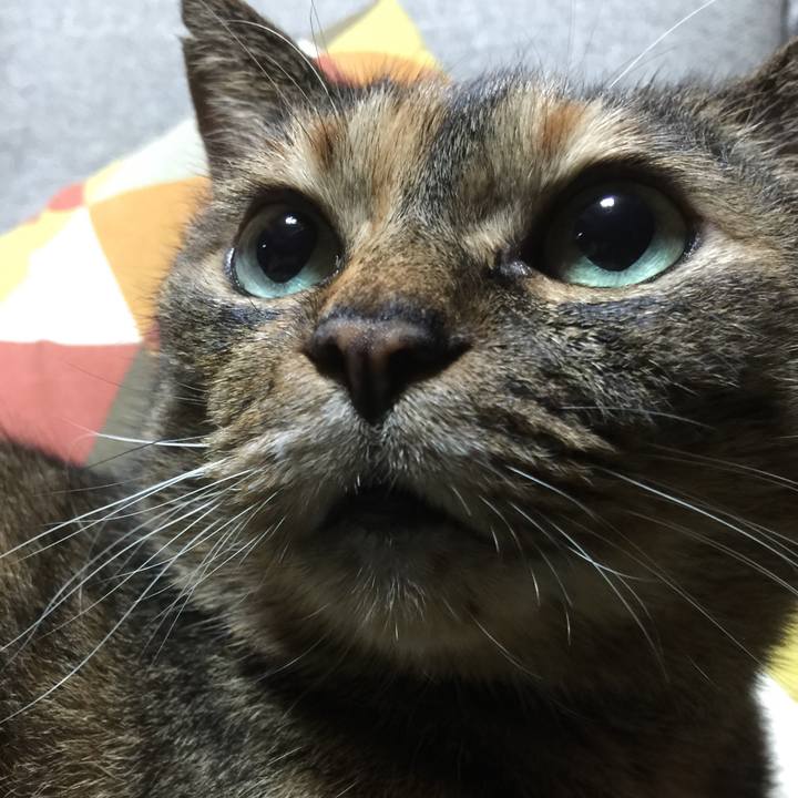 04f35610 10b0 43a9 b7e2 d2c6fefd0f53