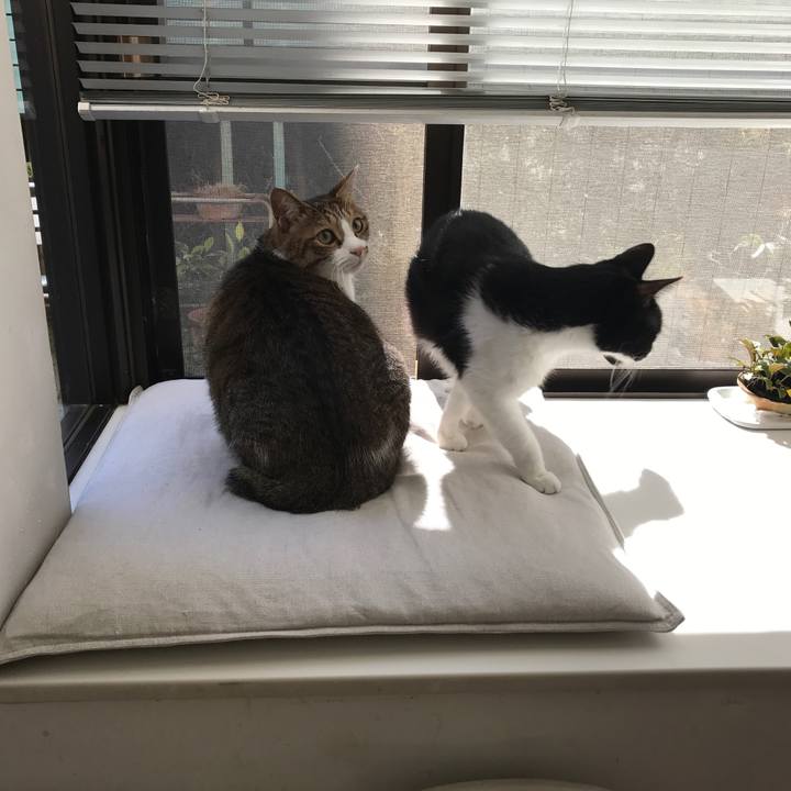 04f3aab9 aa2f 4ab7 9a78 97021739ca2a