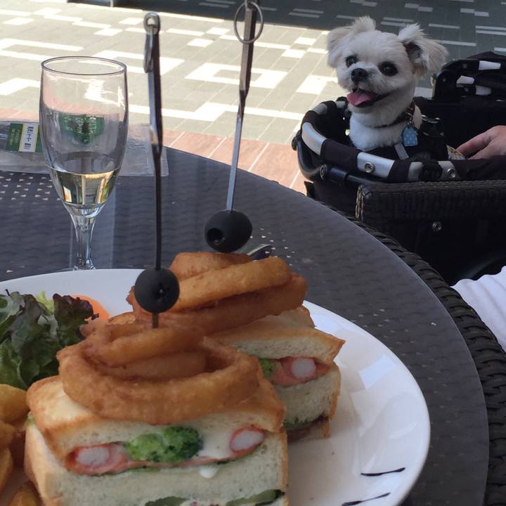 04f3fffd 896a 4e23 91de b6e3a8d707b3