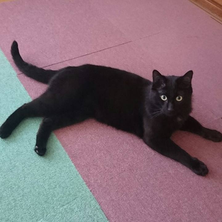 04f44cb7 edd9 43f8 bda5 1fd17c0074ed