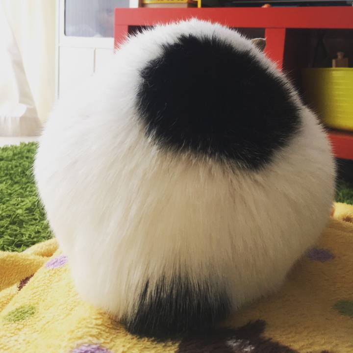 04f48995 28cb 4770 b196 759db4de0068