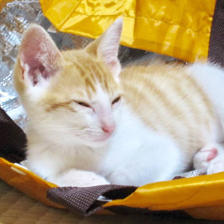 04f4f7e5 3daf 438a bc36 6d9f56a06969