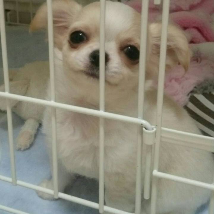 04f5610d c01d 45be b4e8 3e5b370ef21b