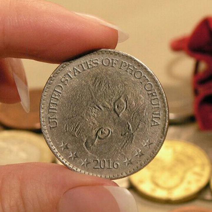 04f6a2bf 4319 4d5e b013 989ead4dc49b