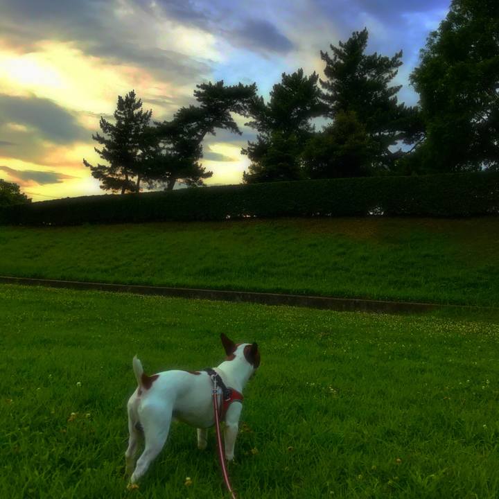 04f6b125 26f0 4c90 984d 5af24f2f10a8