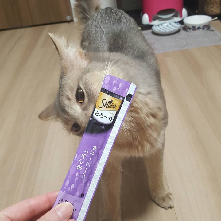 04f6eb7c 18cf 4a09 ab69 b3dd3a6cbe6c