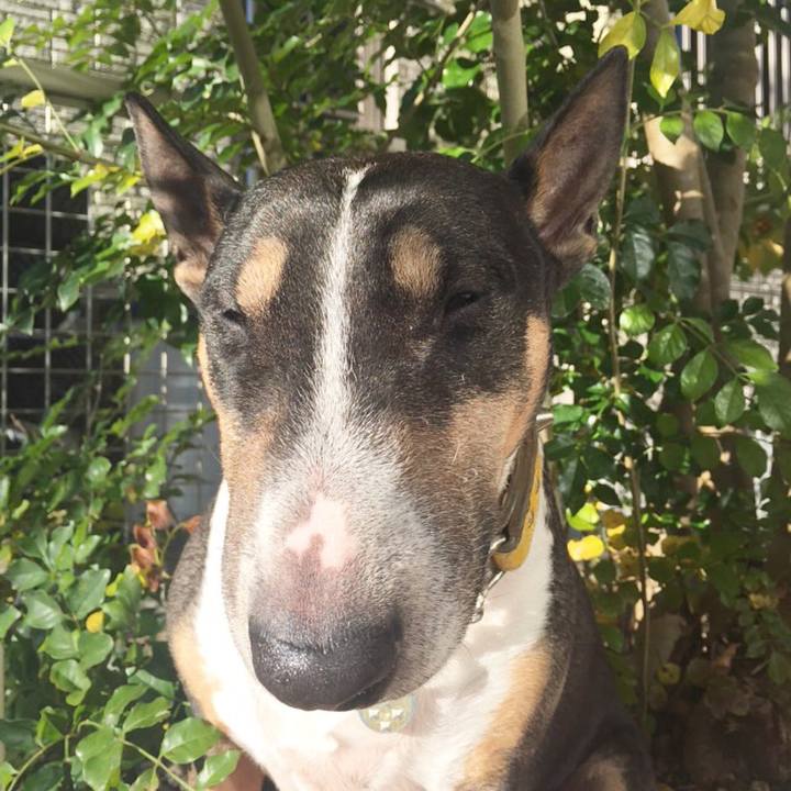 04f6f1dc 8bba 4883 be43 e3f19e0bc59f