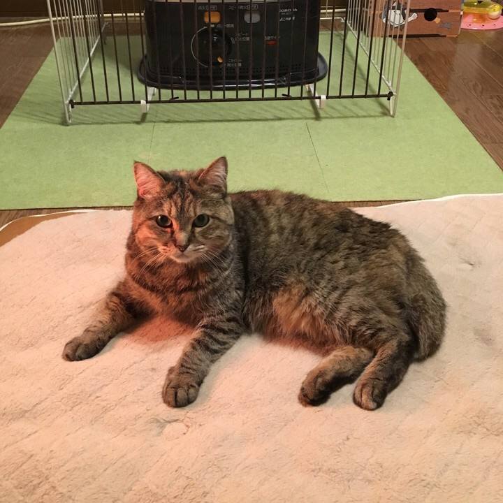 04f71346 20c6 49ae ae52 5b5f76b6fca4