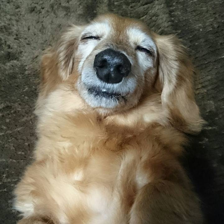 04f73f48 aa94 4ec3 a59a f05867cb616a