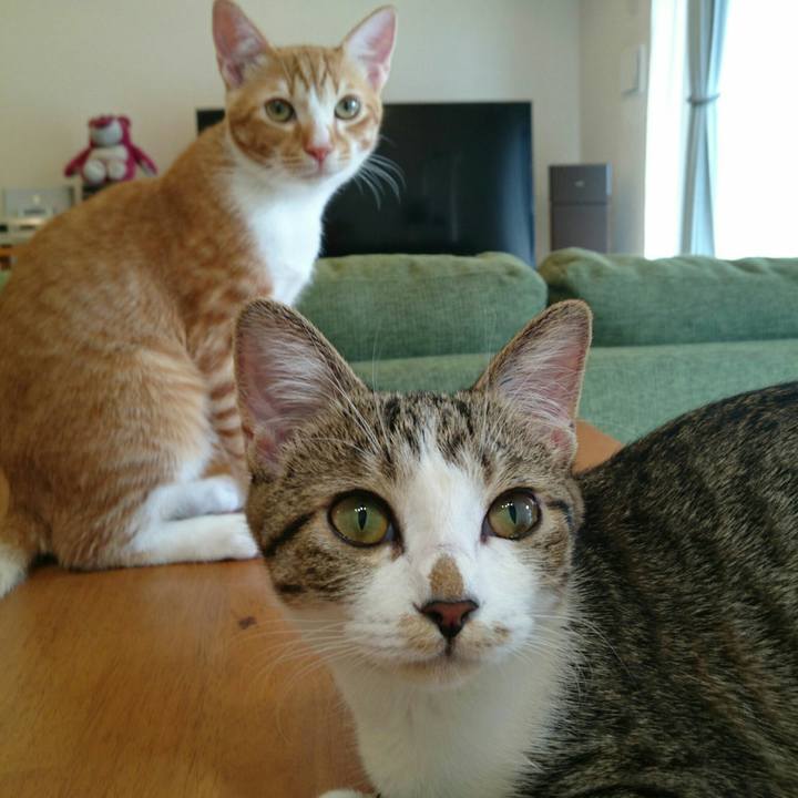 04f7f874 68d7 4140 86bf 87766253a38f