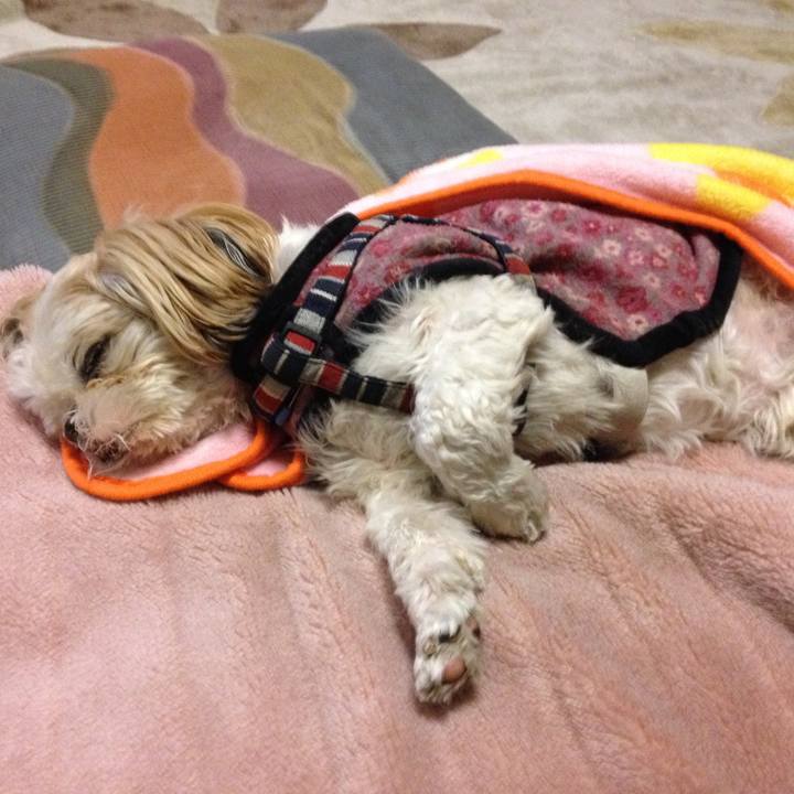 04f8cea7 ff23 4154 b40a 18ee0da26b68