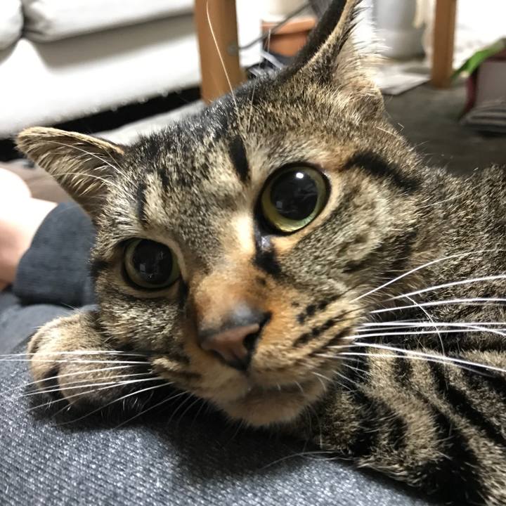 04f8d22f 0c80 4209 8409 fce0b9ed8ed7