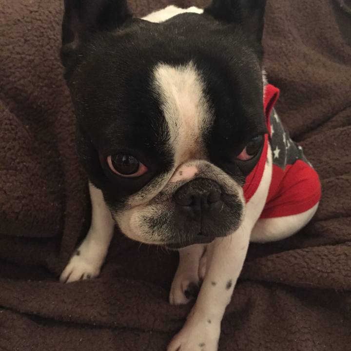 04f90b56 78dc 4aa3 b20b 3c8f4f87a304