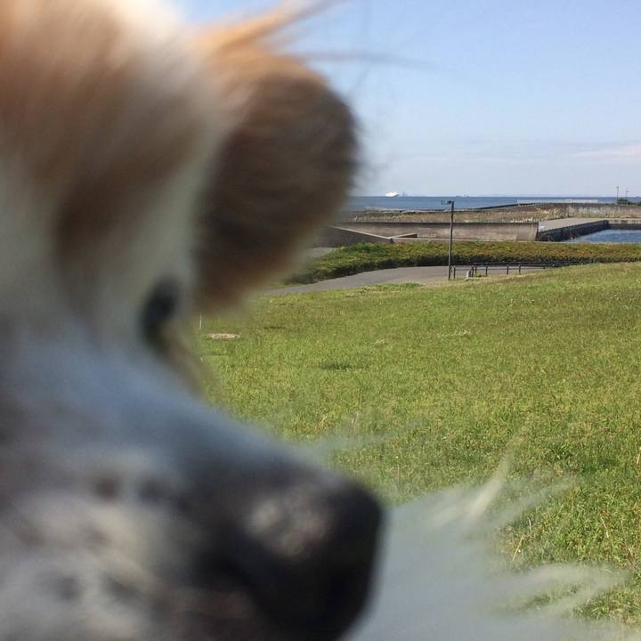 04f99d88 1095 4866 b3cf fdbd0a56a630