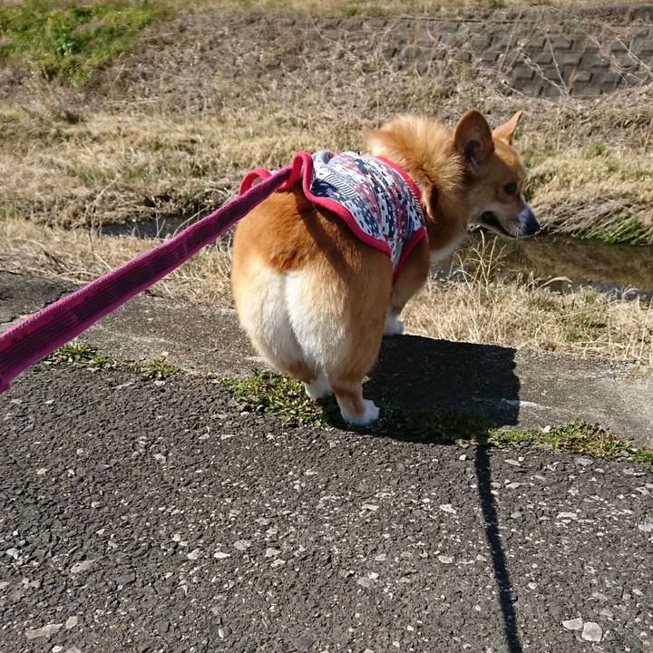 04f9b04e 193d 4abd bfc3 0b1c23201e1d