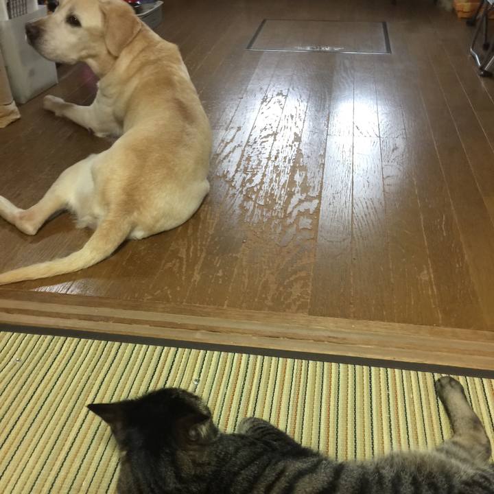 04fa00e9 6126 4be0 9747 818ceb02e5f8