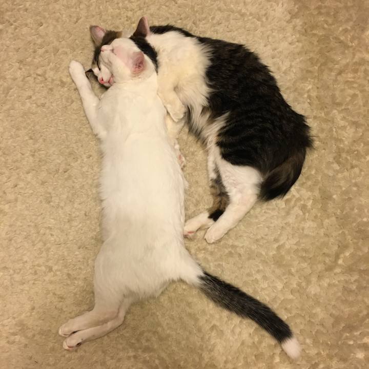 04fb2bd7 4418 4cae adbc b38c6906b6d7