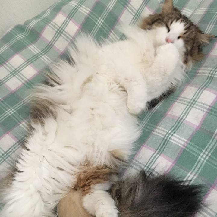 04fcdc5d 562e 4a82 ae7b ddcbef20534f