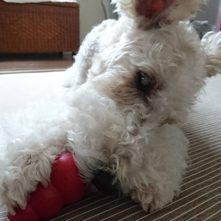 04fd9eb5 46fe 4a49 aeb8 5c6b27e69339