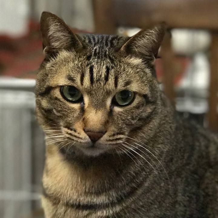 04fdb2d0 51b1 4b5c b1c5 dc3bb383e22c